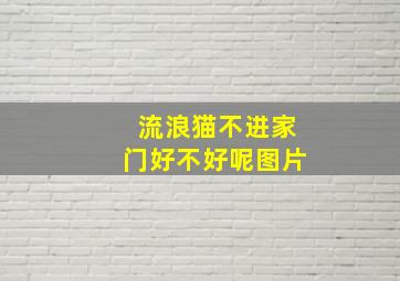 流浪猫不进家门好不好呢图片