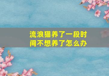 流浪猫养了一段时间不想养了怎么办