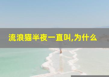 流浪猫半夜一直叫,为什么