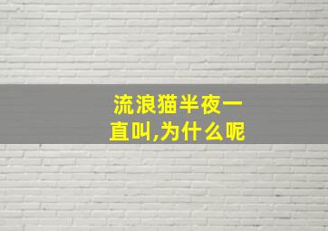 流浪猫半夜一直叫,为什么呢