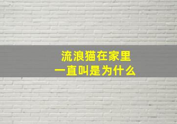 流浪猫在家里一直叫是为什么