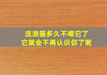 流浪猫多久不喂它了它就会不再认识你了呢