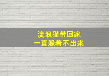 流浪猫带回家一直躲着不出来