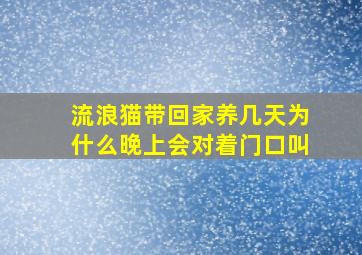 流浪猫带回家养几天为什么晚上会对着门口叫