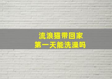 流浪猫带回家第一天能洗澡吗