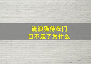 流浪猫待在门口不走了为什么