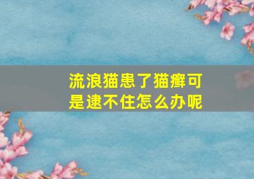 流浪猫患了猫癣可是逮不住怎么办呢