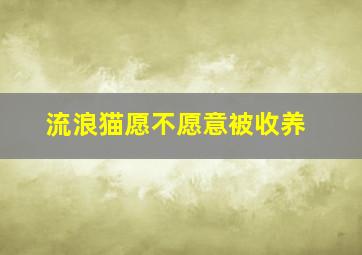 流浪猫愿不愿意被收养