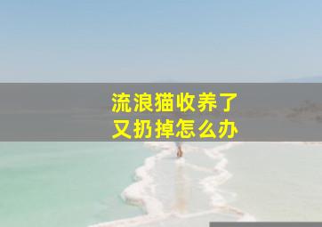 流浪猫收养了又扔掉怎么办