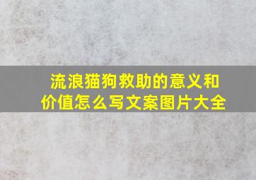 流浪猫狗救助的意义和价值怎么写文案图片大全