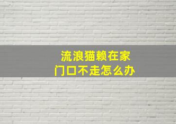 流浪猫赖在家门口不走怎么办