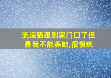 流浪猫跟到家门口了但是我不能养她,很愧疚