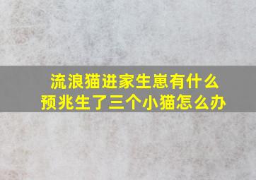 流浪猫进家生崽有什么预兆生了三个小猫怎么办