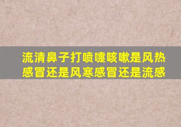 流清鼻子打喷嚏咳嗽是风热感冒还是风寒感冒还是流感