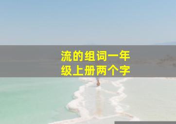 流的组词一年级上册两个字