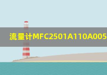 流量计MFC2501A110A005EH2421111