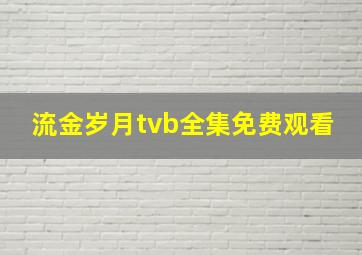 流金岁月tvb全集免费观看