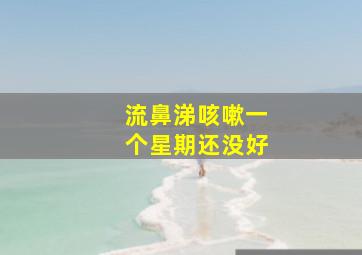 流鼻涕咳嗽一个星期还没好