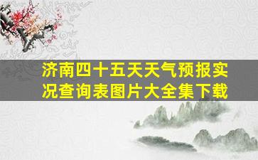 济南四十五天天气预报实况查询表图片大全集下载