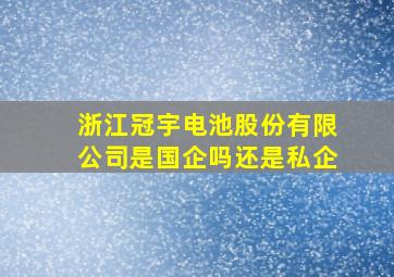 浙江冠宇电池股份有限公司是国企吗还是私企