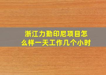 浙江力勤印尼项目怎么样一天工作几个小时