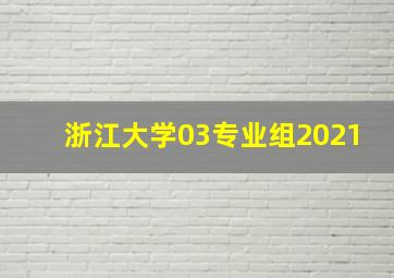 浙江大学03专业组2021