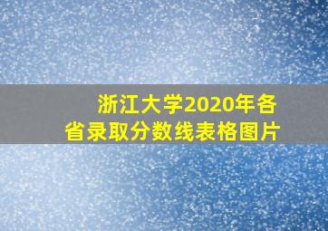 浙江大学2020年各省录取分数线表格图片