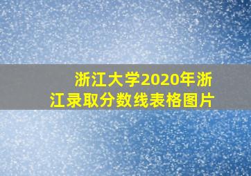 浙江大学2020年浙江录取分数线表格图片