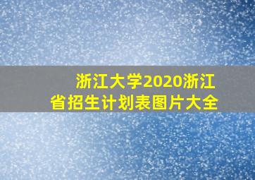 浙江大学2020浙江省招生计划表图片大全