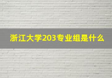 浙江大学203专业组是什么