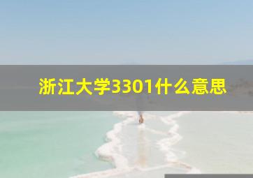 浙江大学3301什么意思