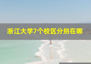 浙江大学7个校区分别在哪