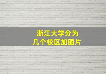 浙江大学分为几个校区加图片