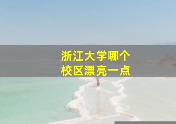 浙江大学哪个校区漂亮一点