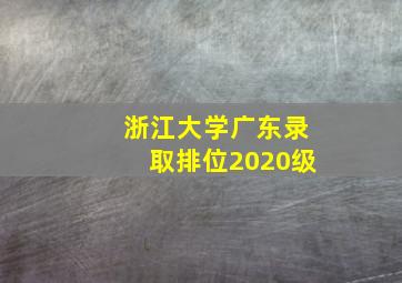 浙江大学广东录取排位2020级