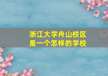 浙江大学舟山校区是一个怎样的学校