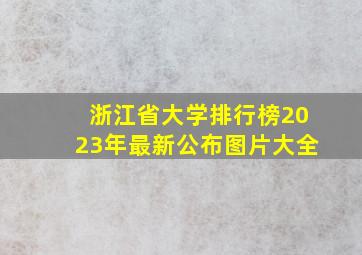 浙江省大学排行榜2023年最新公布图片大全