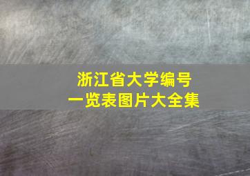 浙江省大学编号一览表图片大全集