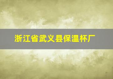 浙江省武义县保温杯厂