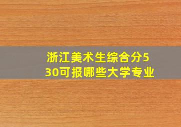 浙江美术生综合分530可报哪些大学专业