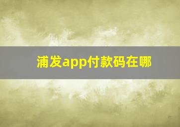 浦发app付款码在哪