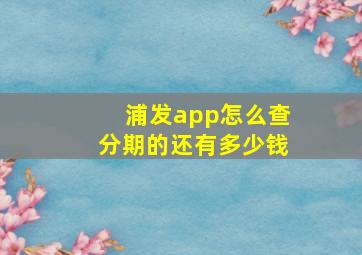 浦发app怎么查分期的还有多少钱