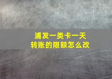 浦发一类卡一天转账的限额怎么改