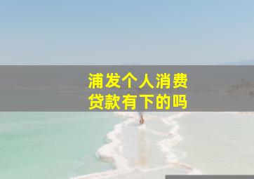 浦发个人消费贷款有下的吗