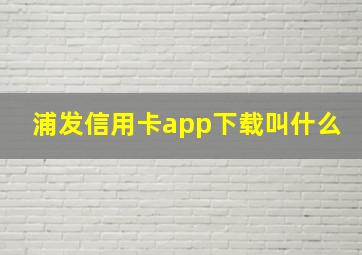 浦发信用卡app下载叫什么