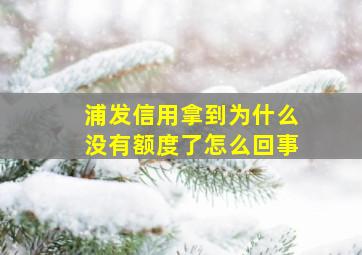 浦发信用拿到为什么没有额度了怎么回事