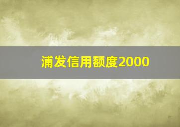 浦发信用额度2000