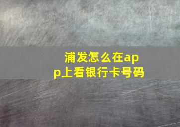 浦发怎么在app上看银行卡号码