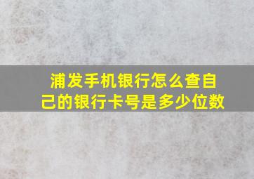 浦发手机银行怎么查自己的银行卡号是多少位数