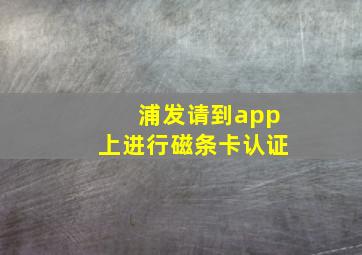 浦发请到app上进行磁条卡认证